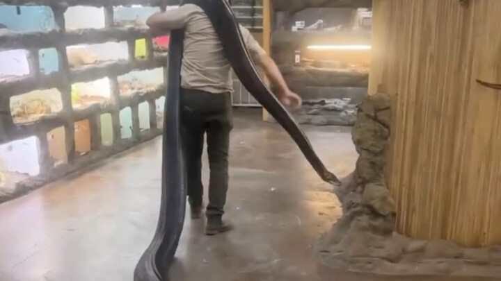 This morning, when I opened the door, I found a little guy had escaped from home—so I carried it rig