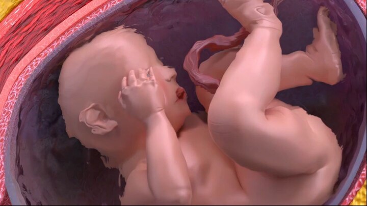 A Simple Visualization Of A C-Section