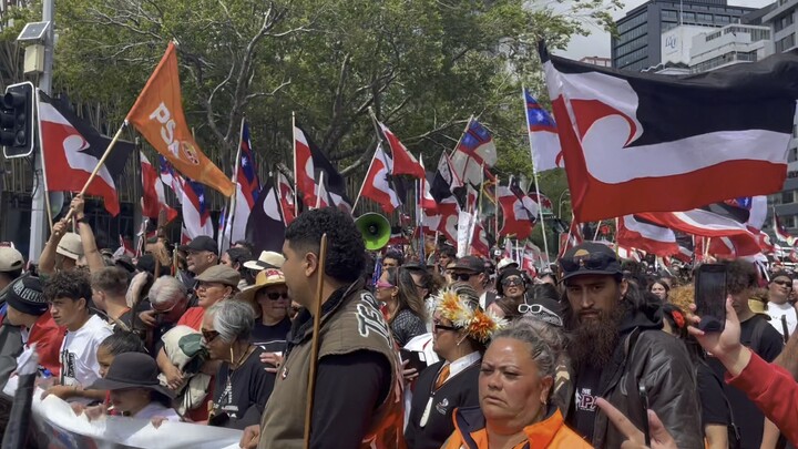 رقصة الحرب الماورية 3.0: معركة السكان الأصليين ضد ويلينغتون