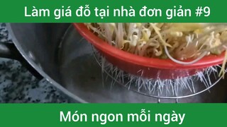 Làm giá đỗ đơn giản tại nhà p9