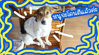 โลกของแสนดี ตอน หนูจะโดนตีแล้วค่ะ