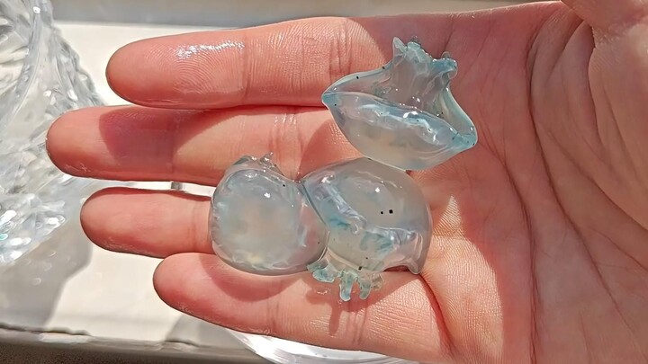 Thời tiết thật tuyệt, phơi nắng với sứa thạch!