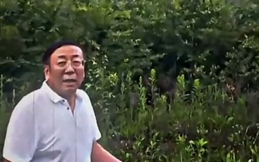 Don't be afraid, uncle, you are the main culprit.