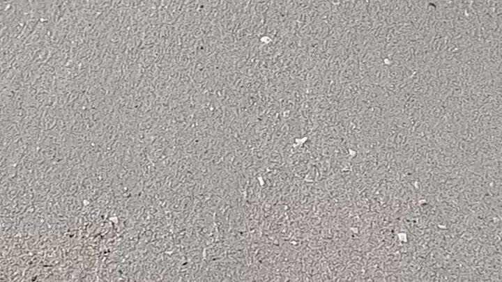 best movie ever nood na