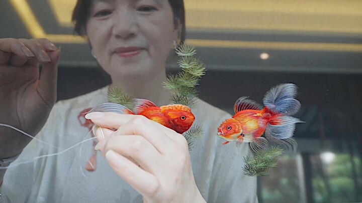 Sulaman Sulu dua sisi dengan motif ikan koi, seakan-akan ikan sungguhan sedang berenang di dalam air