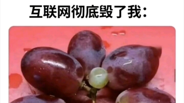 Internet đã hủy hoại tôi hoàn toàn...