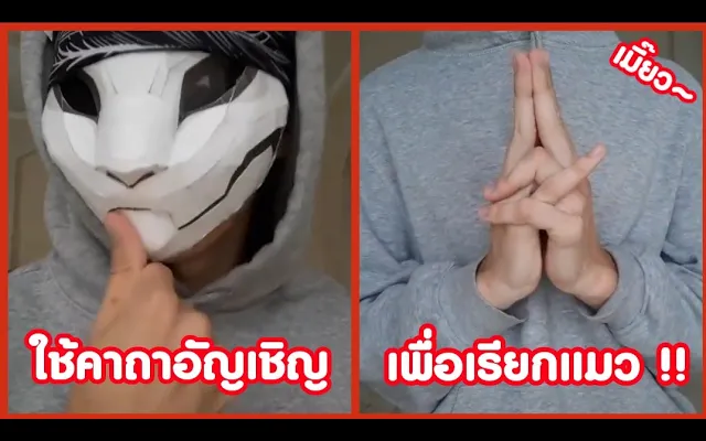 ใช้คาถาอัญเชิญ น้องเหมียวจงออกมา !! ( รวมคลิปฮาพากย์นรก )