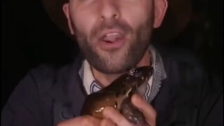 Look guys, I caught a frog
