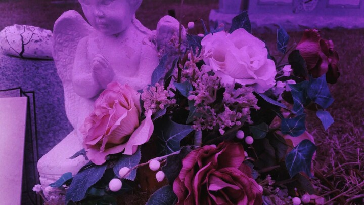 Amor eterno - La santa cecilia