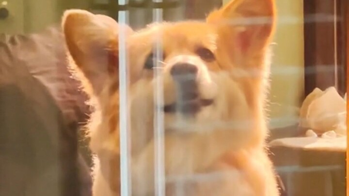 The Moment I Saw My Dad