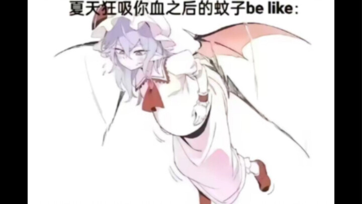 Silly meme | When summer mosquitoes have had their fill of your blood