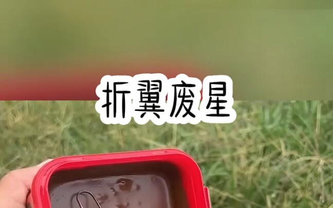 Broken-winged Fallen Star