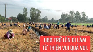 Trồng dược liệu thuốc nam quí được các cô chú lớn tuổi U60 ủng hộ nhiệt tình !!!