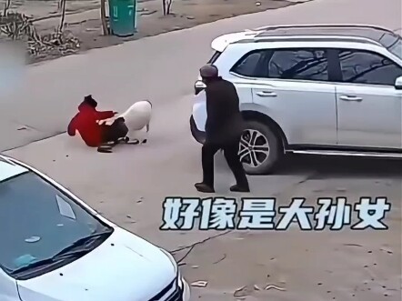 Little girl gets tossed into the air by a little lamb!