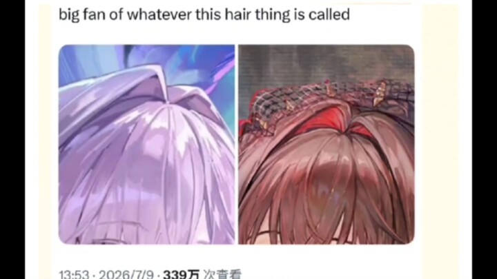 In the 2D world, this super cute hairstyle has a specific name.