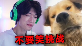 不 要 笑 挑 战 ！【第1000期】