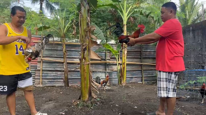 exercise muna