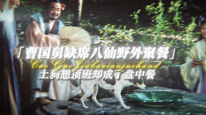 “Cao Guojie Skips the Eight Immortals’ Outdoor Feast—But the Stray Dog Who Tried to Fill In Ends Up 