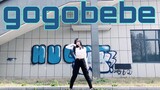 [Trà nhãn]Bài hát mới GOGOBEBE của MAMAMOO nhảy nhanh và chú chó thần bí Beibei đến để tẩy não