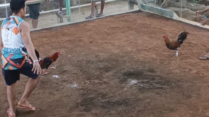 my dark leg dome nka chamba , W