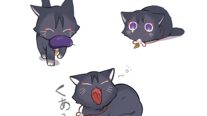 Cat A-san, so cute!!! (Part 2)