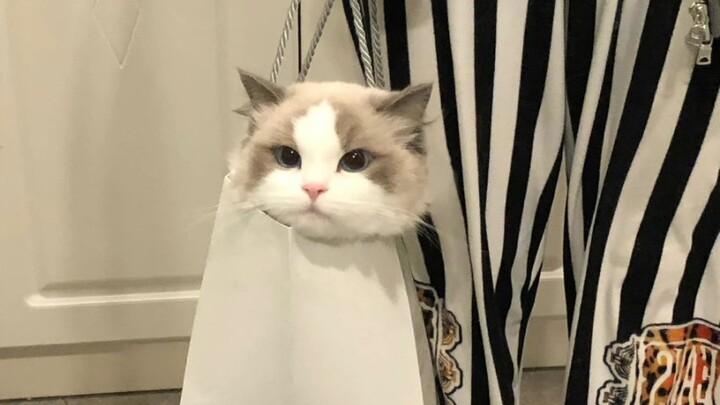 جميل، شاركه!؟！