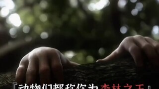 "ราชาแห่งป่าไม้"