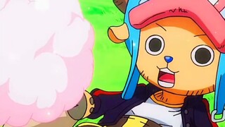 Công bố tiền thưởng mới nhất của Mũ Rơm! Chopper không làm tôi cười chết đâu hahaha! "Trực tiếp siêu