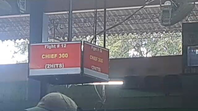 my Roundhead Kelso win