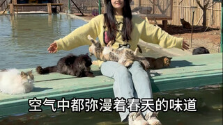 Segala sesuatunya kembali hidup, dan benih-benih dalam tubuh kucing mulai tumbuh.