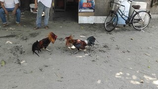 spar muna kayung dalawa