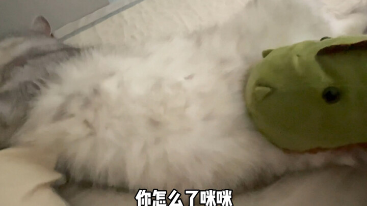 What’s wrong, Mimi! What’s wrong, Mimi!