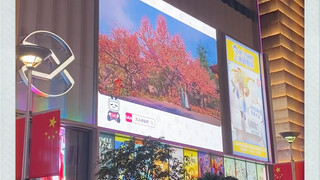 上海南京路广告牌，凡人修仙传排面啊