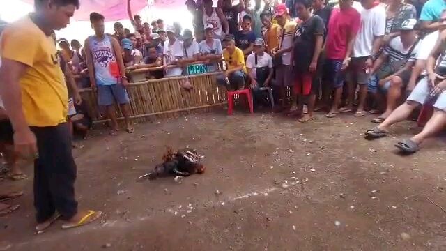 2nd fight win..fiesta @ brgy mapitogo