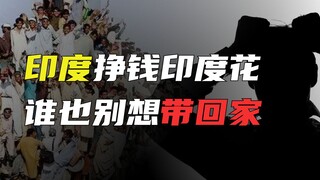Liệu cuộc phản công của Ấn Độ có thay thế được "công xưởng thế giới"? Các nhà đầu tư châu Âu và Mỹ t