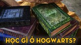 HỌC GÌ Ở HOGWARTS?! | Tất Tần Tật Các Môn Học Ở Thế Giới Phù Thuỷ | Harry Potter Series