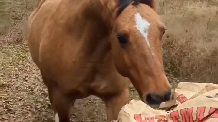 Đã thực hiện thành công một vụ cướp