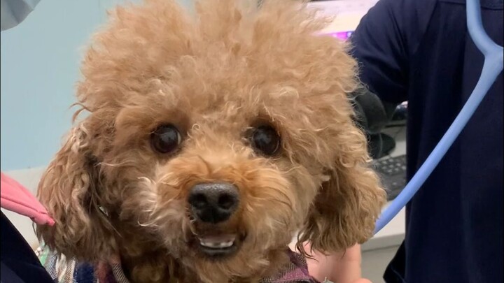Silly Teddy went to the beach and gorged himself on seashells—I opened with my Q right away.
