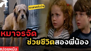 สปอยหนัง หมาจรจัดแสนโดดเดี่ยว ช่วยชีวิตสองพี่น้องสุดเหงา Benji (2018)