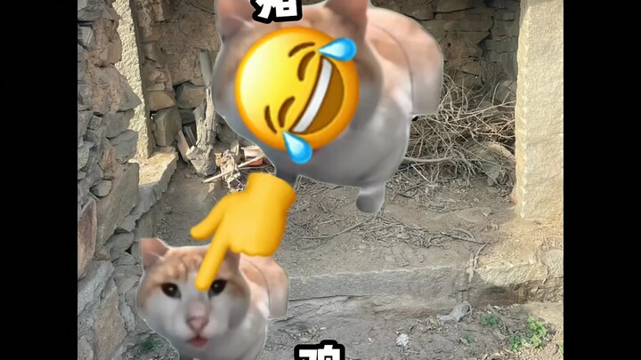 Khi bà nội biết tôi sắp về nhà