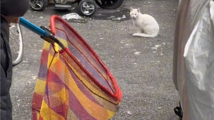 ตำนานการสถาปนาเสี่ยวเฉาเป็นเทพ