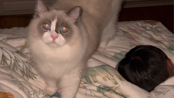 Woke up in the middle of the night by my cat’s relentless scratching—only to find my baby was about 