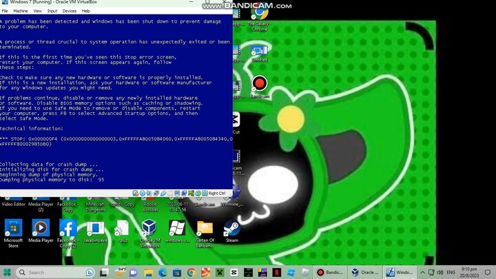 Windows 7 VM BSOD