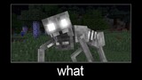 Minecraft wait what meme part 161 (peat mummy)