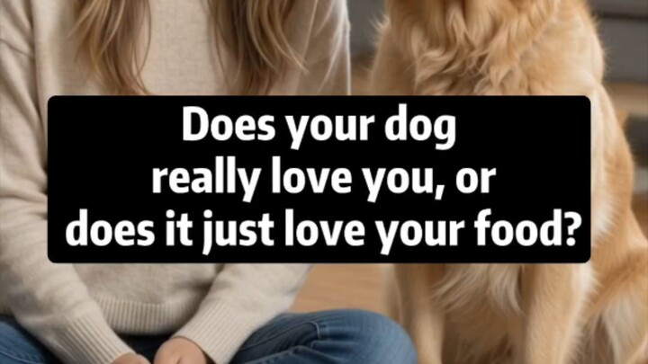 Does Your Dog Love You or Your Food? 🐶❤️. cute dog story and emotional video