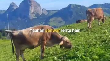 instagram short reel nature view