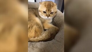 Khi các boss ngầu lòi (Phần 2)
