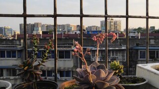 Mười năm đã trôi qua, mọi người còn nhớ chuyện này không nhỉ