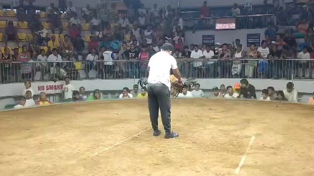 bulik para champion