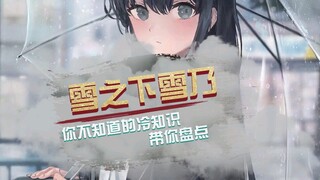 你所不知道的雪乃冷知识